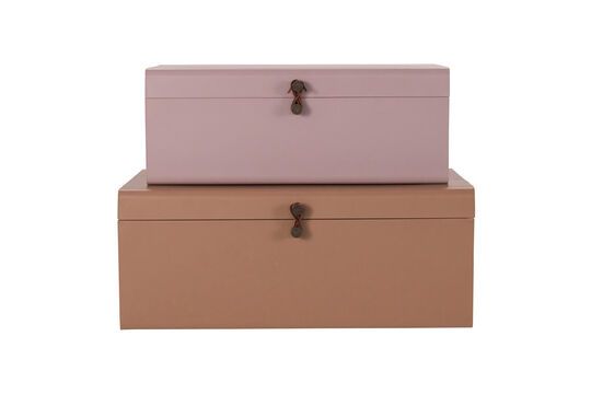 Set di 2 lattine in metallo beige e rosa